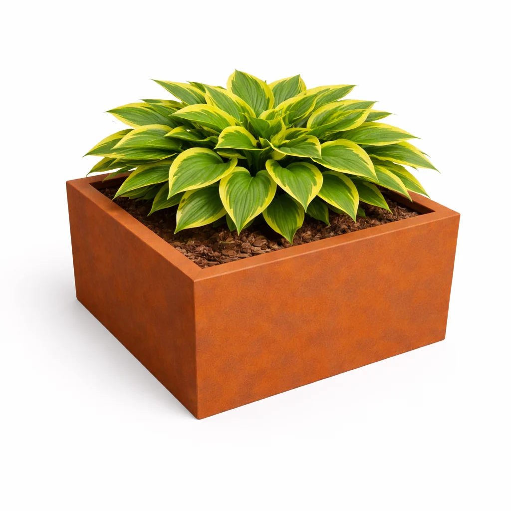 16. Square Planters 1 Square Planter 3 600x600x300 With Plant - Iron Leaf Studio