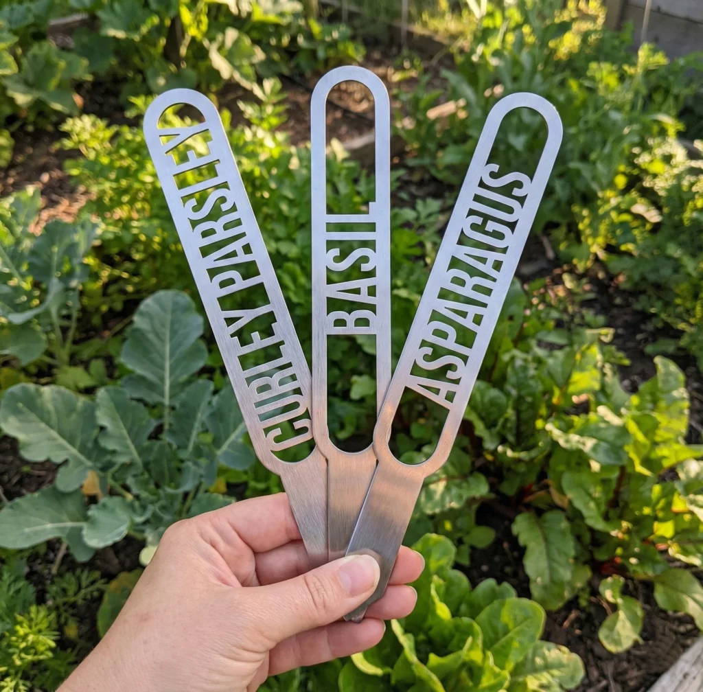 Vegetable Name Stakes, Staineless Steel Mockup 2 Hand Holding A Plant Stick - Iron Leaf Studio